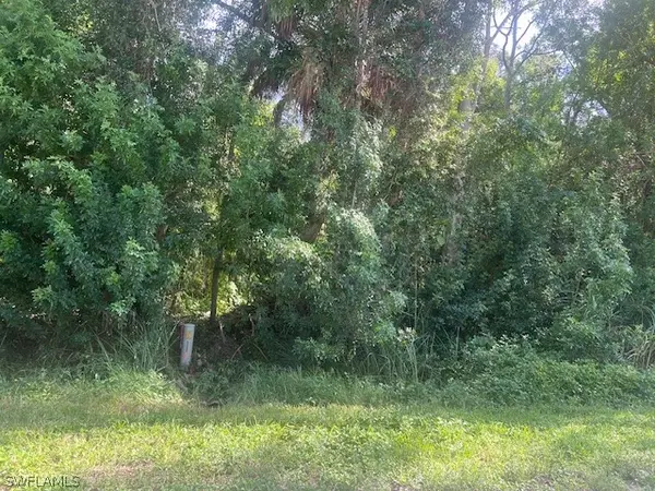 Lot 22 TBD Pine Tree DR, Naples, FL 34112