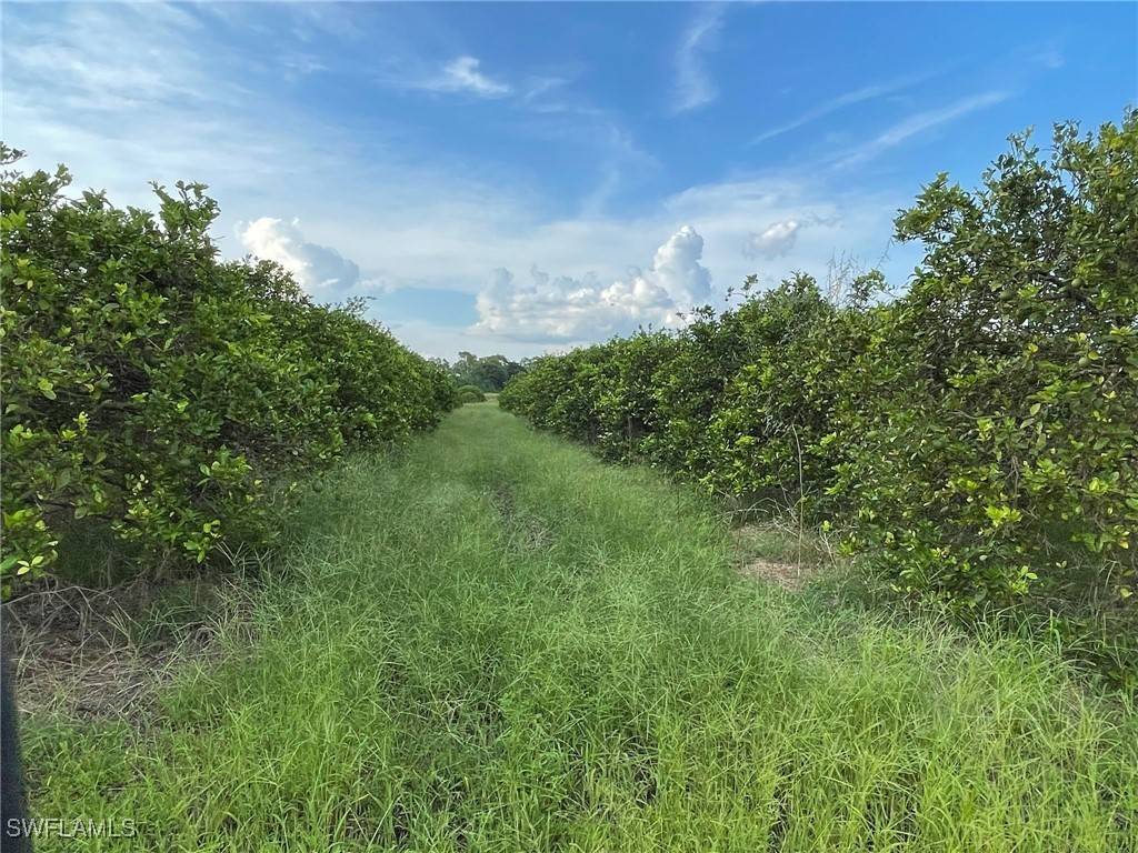 Labelle, FL 33935,6th RD