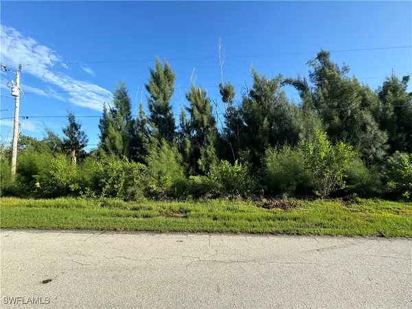 3486 Papaya ST, St James City, FL 33956