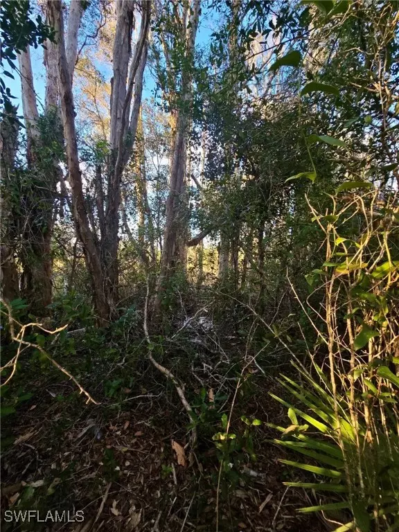 Lehigh Acres, FL 33976,3402 39th ST SW