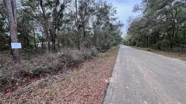 Inverness, FL 34453,3176 E John LN