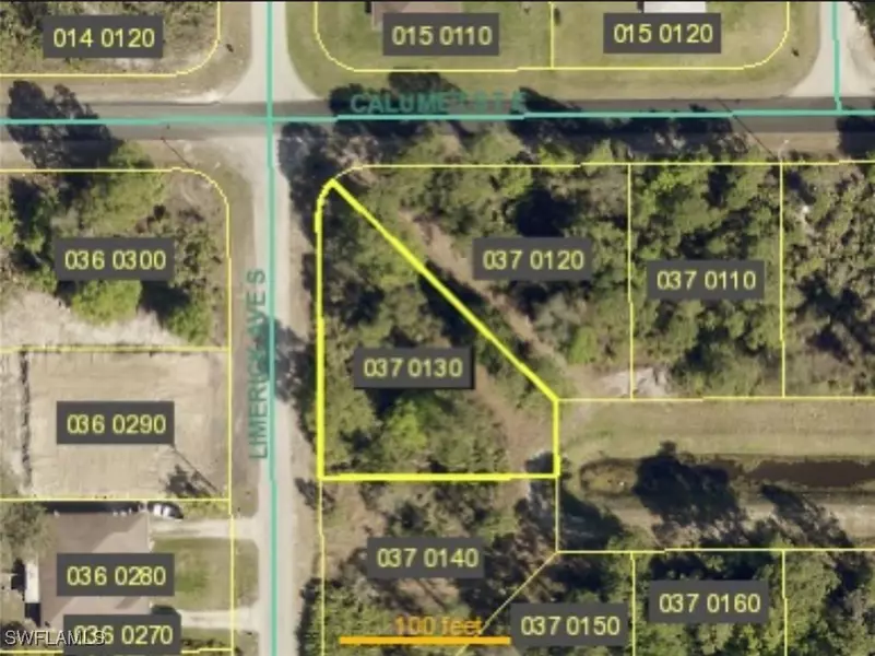 349 Limerick AVE S, Lehigh Acres, FL 33974