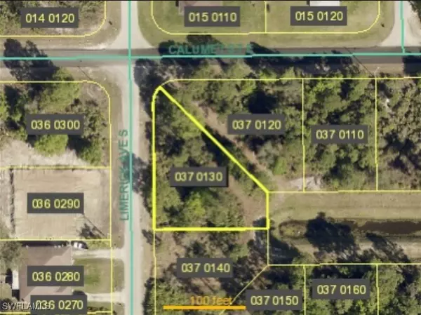 349 Limerick AVE S, Lehigh Acres, FL 33974