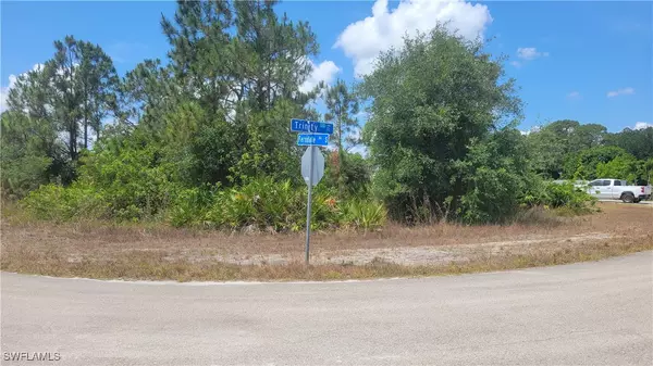 Lehigh Acres, FL 33974,769 Ferndale AVE S
