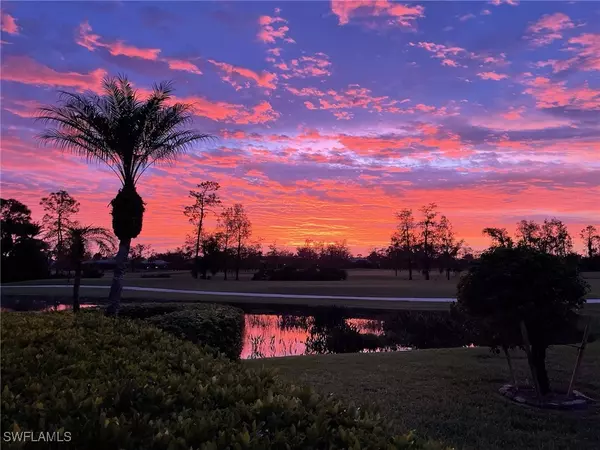 Estero, FL 33928,20273 Leopard LN