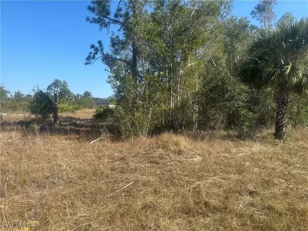 Lehigh Acres, FL 33976,3232 Ruth LN