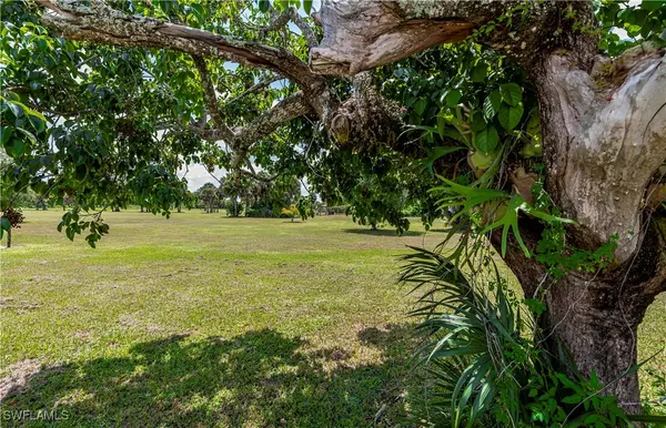 Moore Haven, FL 33471,1038 Seminole CIR