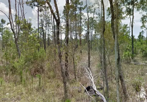 North Fort Myers, FL 33917,2258 Brooklawn DR