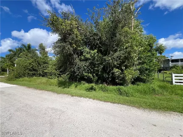 St James City, FL 33956,5210 Barrow DR