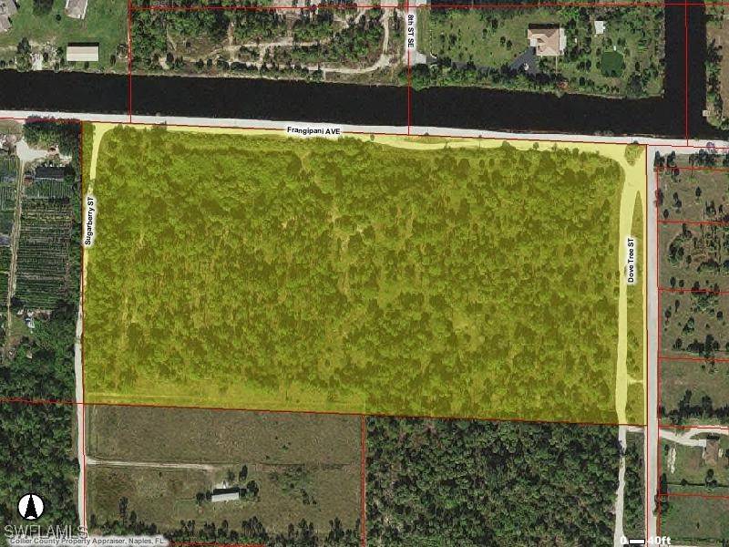 Frangipani AVE, Naples, FL 34117
