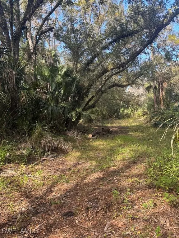 Alva, FL 33920,21731 Park ST