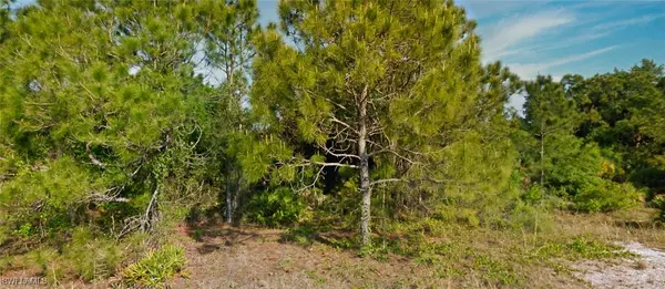 North Port, FL 34288,Lot 17 Hollister AVE