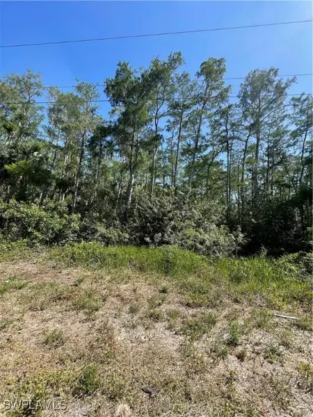 666 Knapp ST, Lehigh Acres, FL 33974