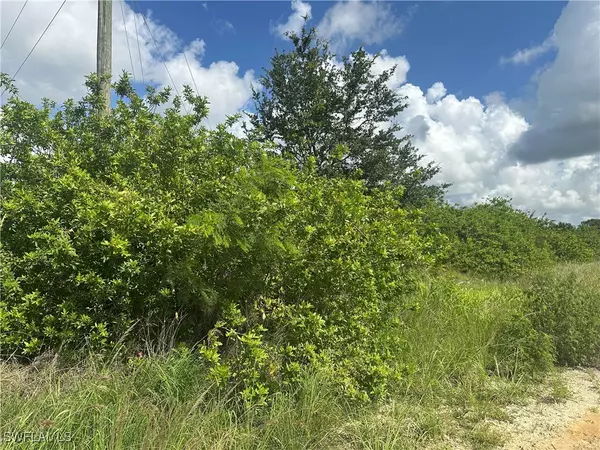 Labelle, FL 33935,7716 Wheeler RD