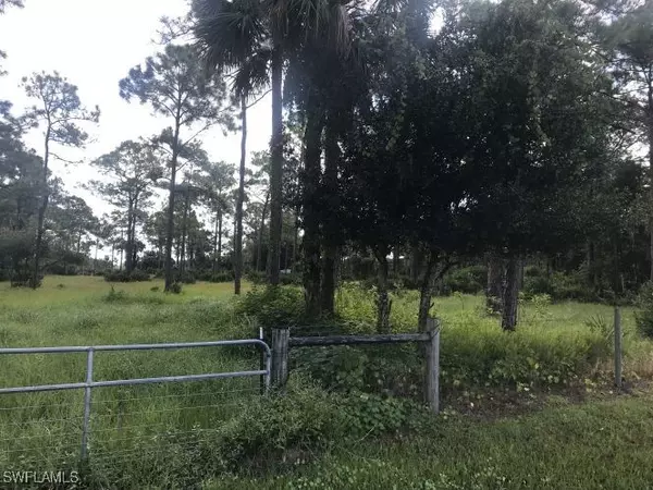 Alva, FL 33920,19950 Palm Beach BLVD