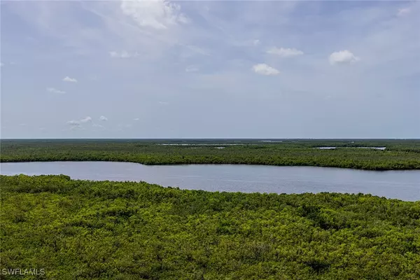 Naples, FL 34114,1050 Borghese LN #1203