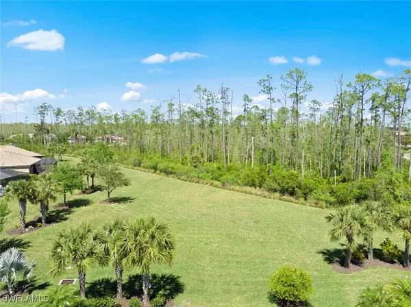 Estero, FL 33928,20374 Black Tree LN