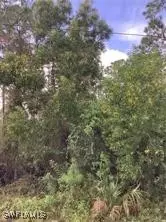 Naples, FL 34117,26th AVE SE