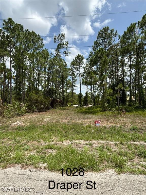 1028 Draper ST, Lehigh Acres, FL 33974