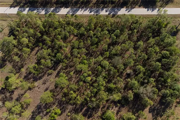 Lehigh Acres, FL 33936,1017 McArthur AVE