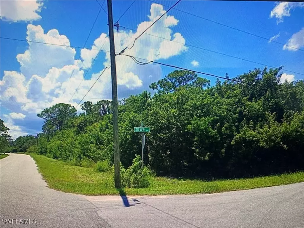 Lake Placid, FL 33852,245 Silver AVE