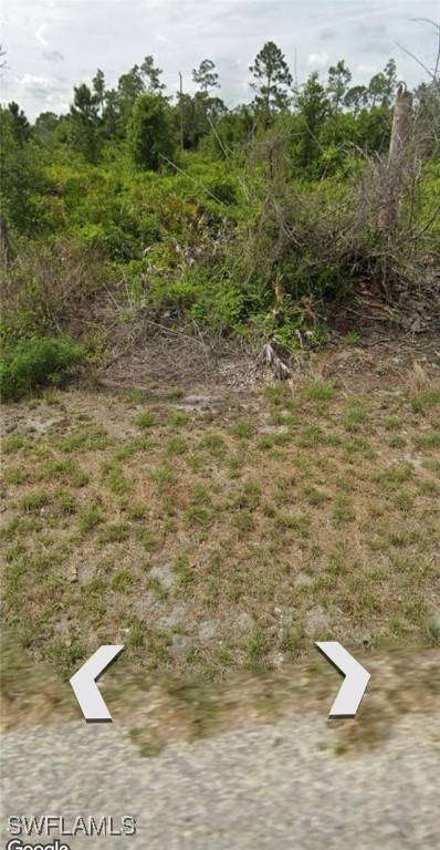 Labelle, FL 33935,175 N Concord TER