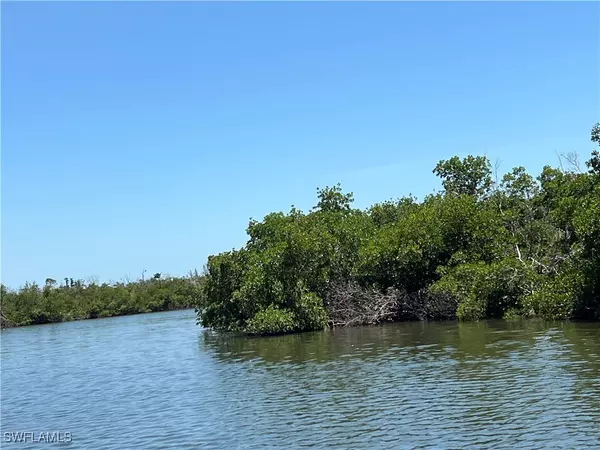 Bokeelia, FL 33922,7731 Bocilla LN #9
