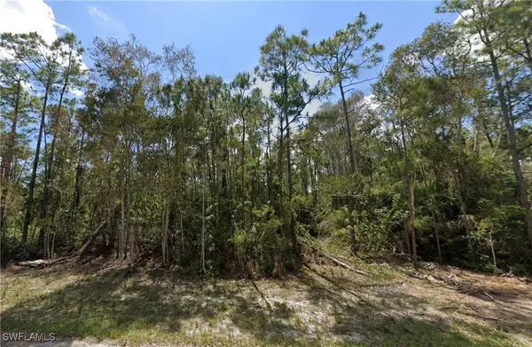 828 Glen Coy AVE, Lehigh Acres, FL 33974