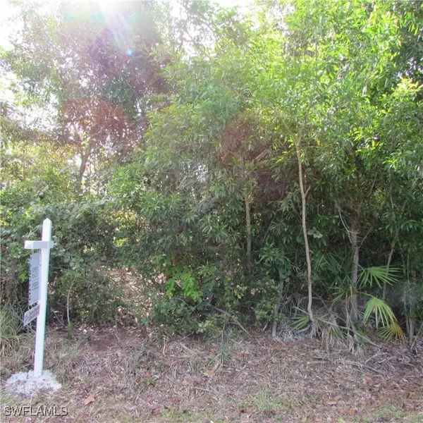 Bokeelia, FL 33922,12348 Dolphin RD