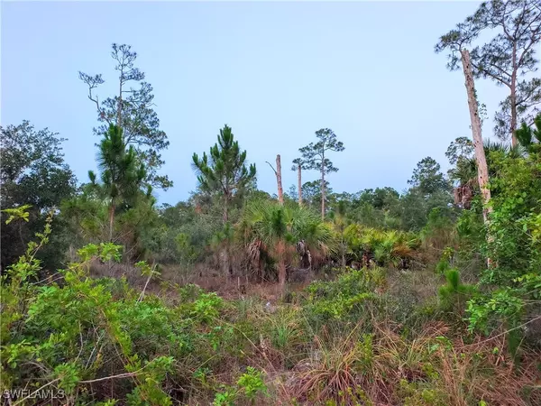 Clewiston, FL 33440,565 S Datil ST