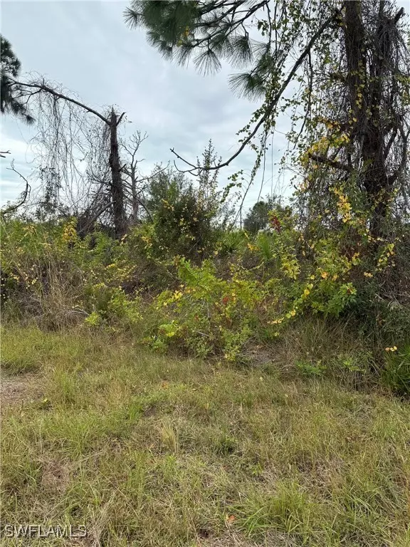 Port Charlotte, FL 33981,8234 Dimstead ST