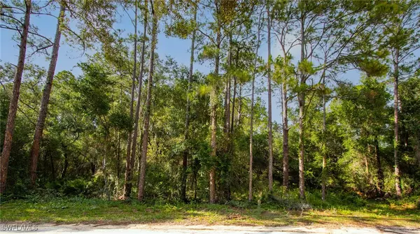 7176 Norway ST, Webster, FL 33597