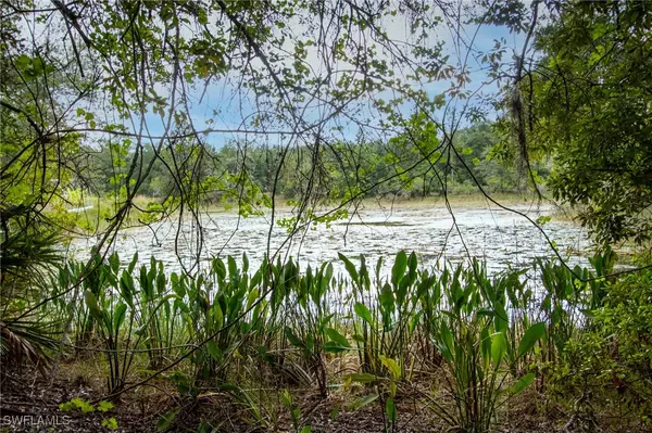 Webster, FL 33597,34122 August AVE