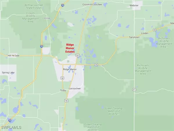 Webster, FL 33597,8009 Packingham ST