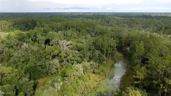 Webster, FL 33597,7200 Norway ST