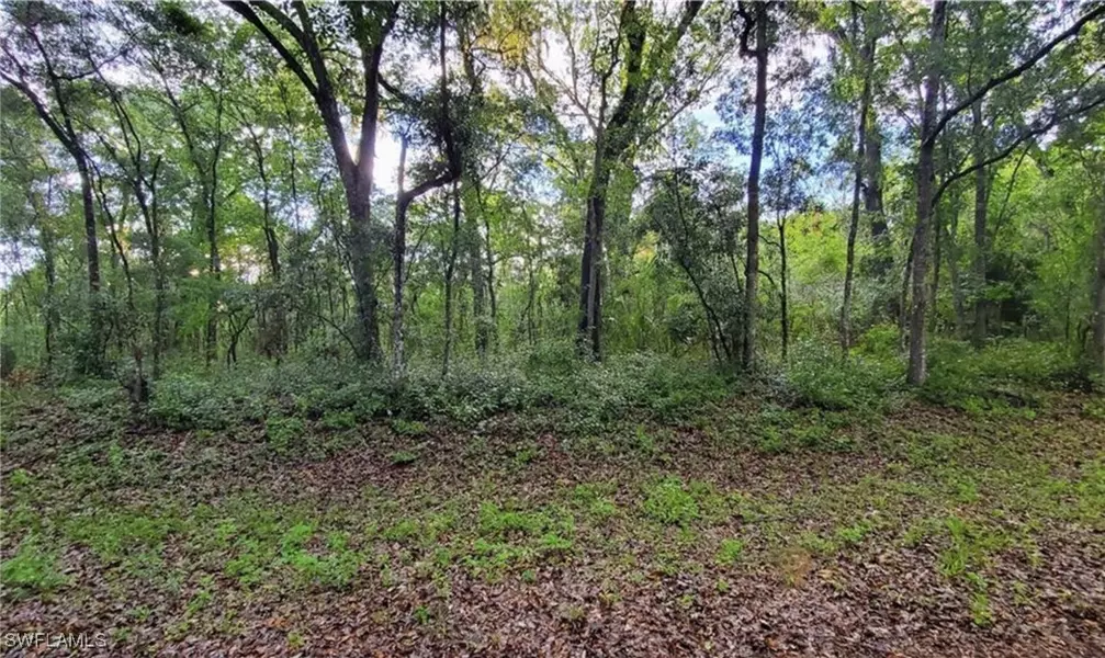 0 Kenyon DR, Webster, FL 33597