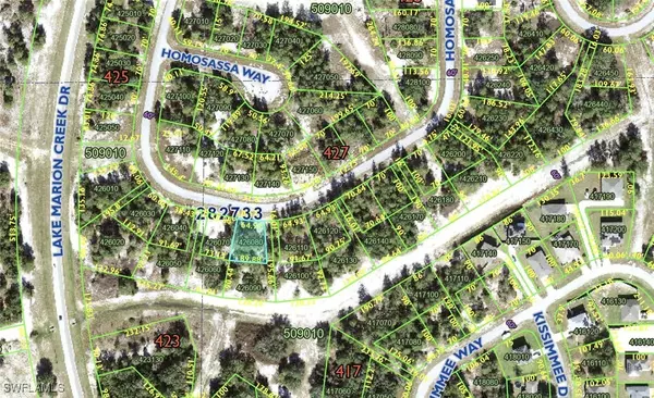 1348 Homosassa DR, Kissimmee, FL 34759