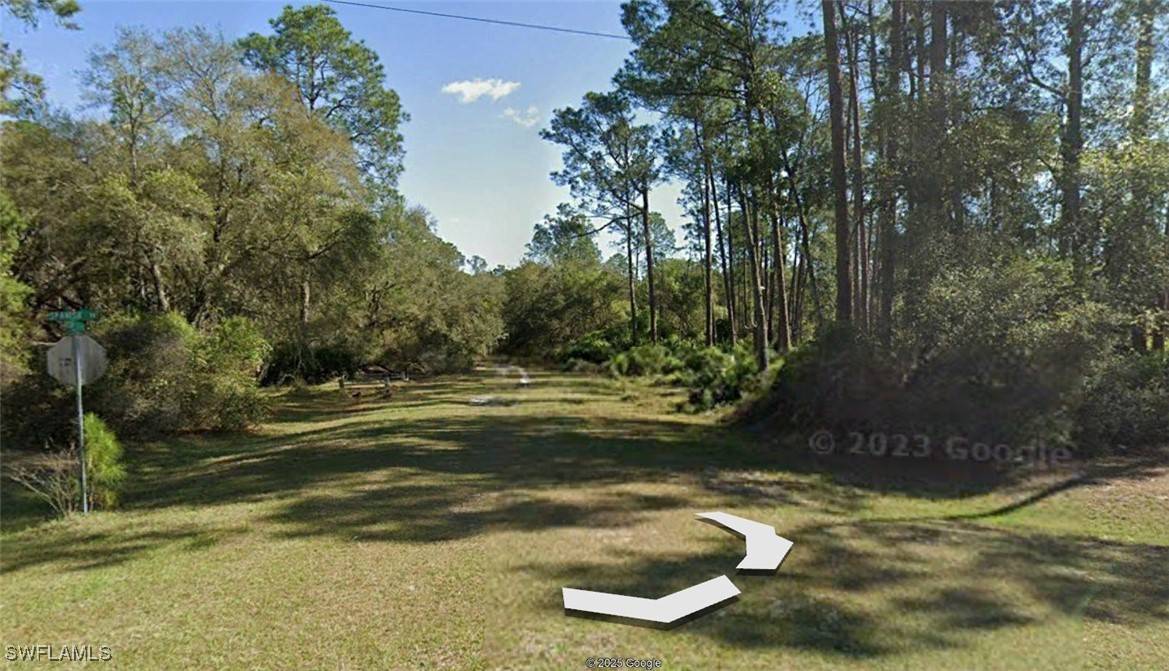Georgetown, FL 32139,204 OCALA CT