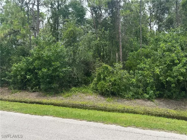 Bonita Springs, FL 34135,24032 Dietz DR