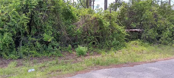 Lehigh Acres, FL 33974,610 Wabasso AVE S