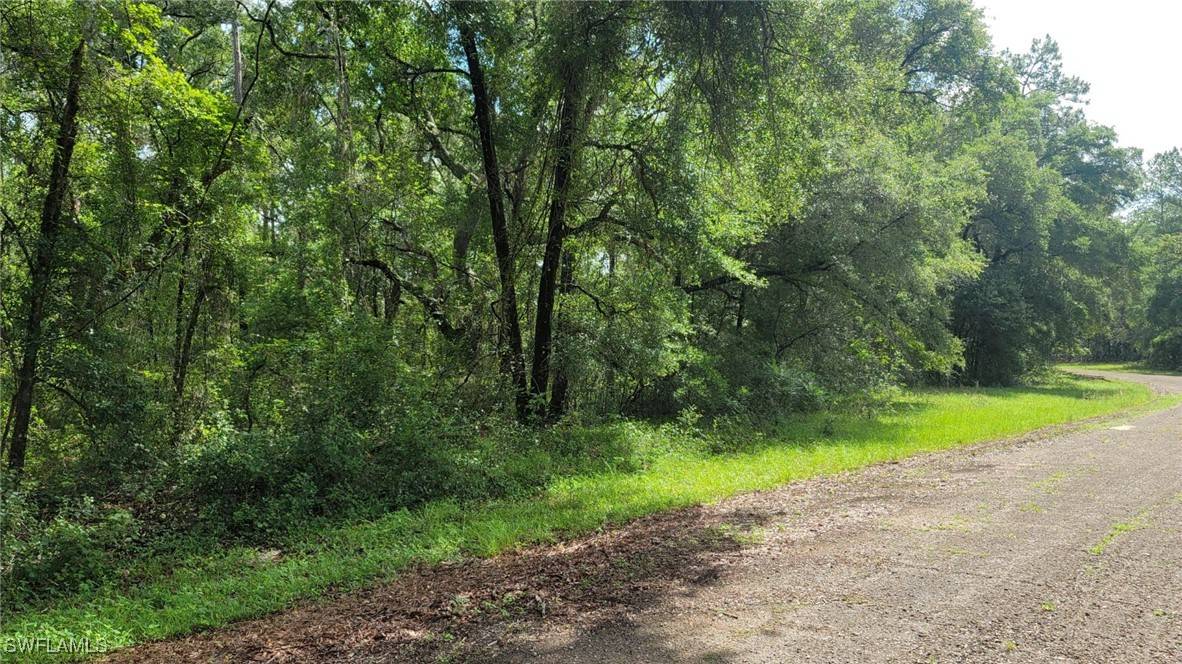 373 E Avondale DR E, Citrus Springs, FL 34434