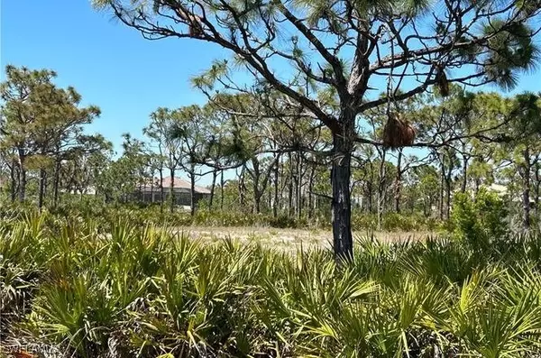 Bokeelia, FL 33922,6117 Calusa Ridge TRL