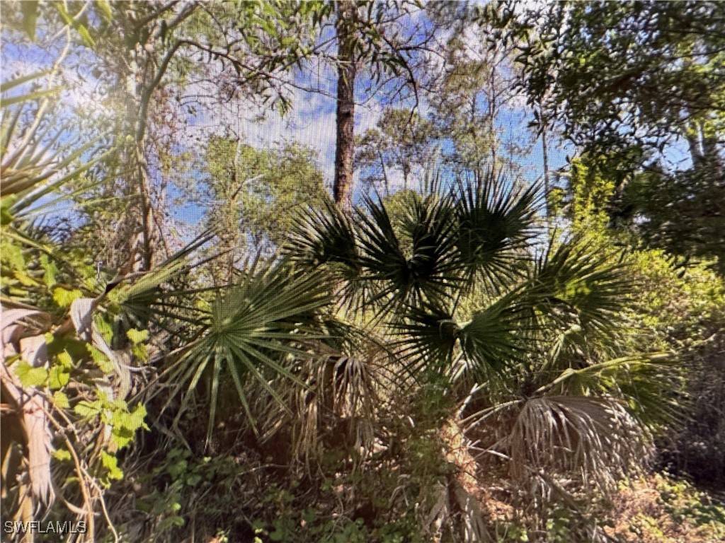 Naples, FL 34117,5th ST SW