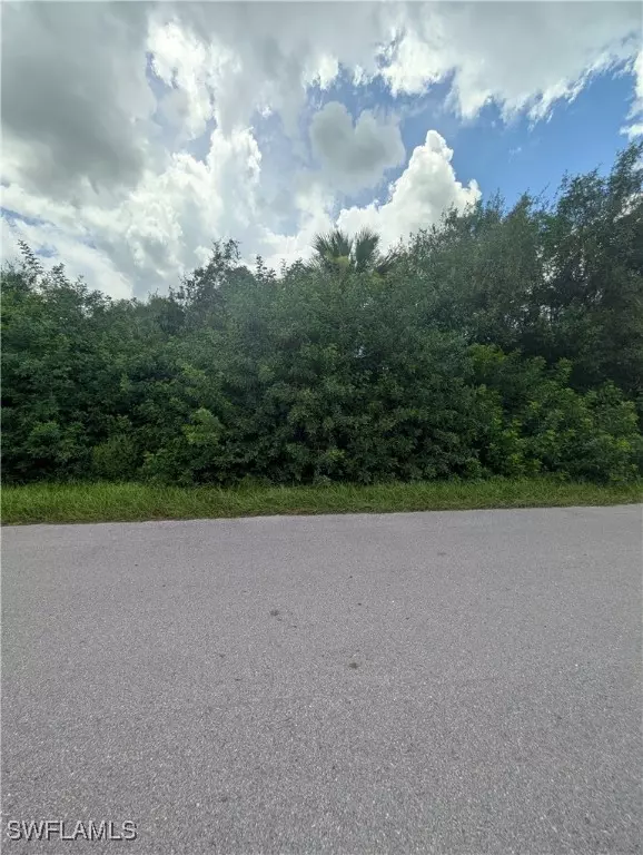Naples, FL 34120,xxx 20th ST NE