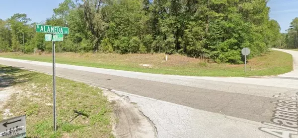 Citrus Springs, FL 34434,8698 N ALAMEDA DR