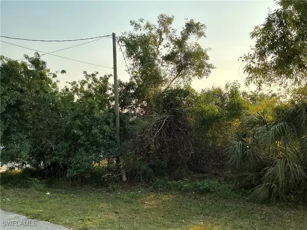 Lehigh Acres, FL 33973,5205/5207 29th ST SW