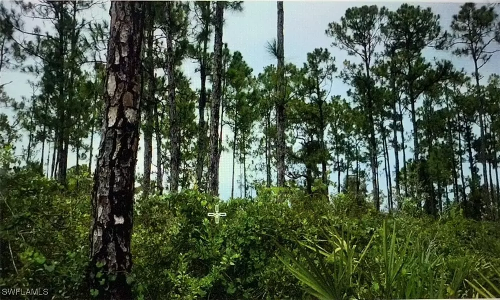 41st AVE NE, Naples, FL 34120