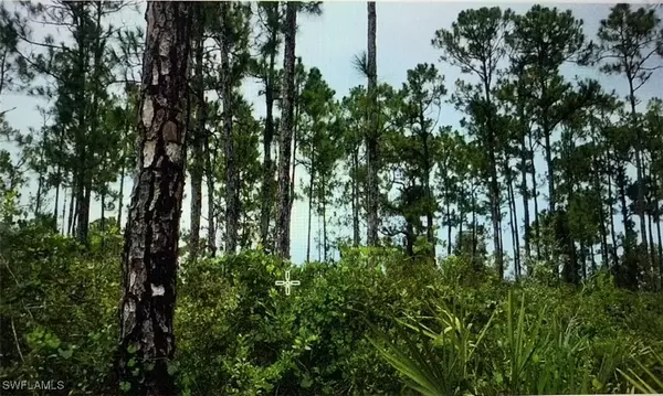 41st AVE NE, Naples, FL 34120