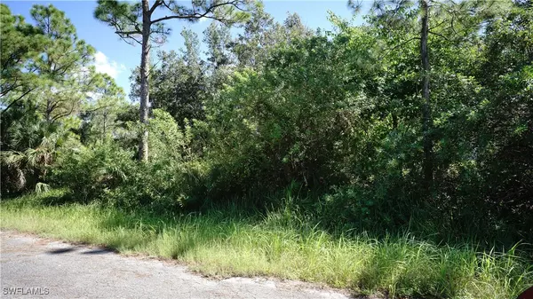 718 Clayton AVE, Lehigh Acres, FL 33972