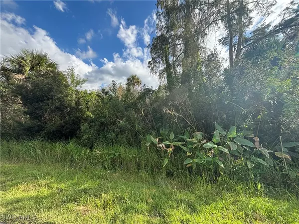 Naples, FL 34120,xxx 37th Ave NE